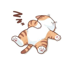 Ảnh con mèo chibi đáng yêu