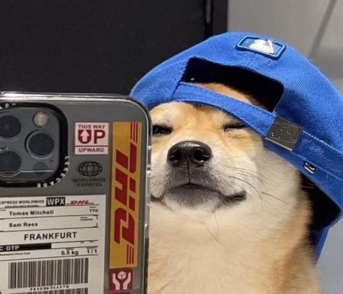 Ảnh đại diện chó meme cute
