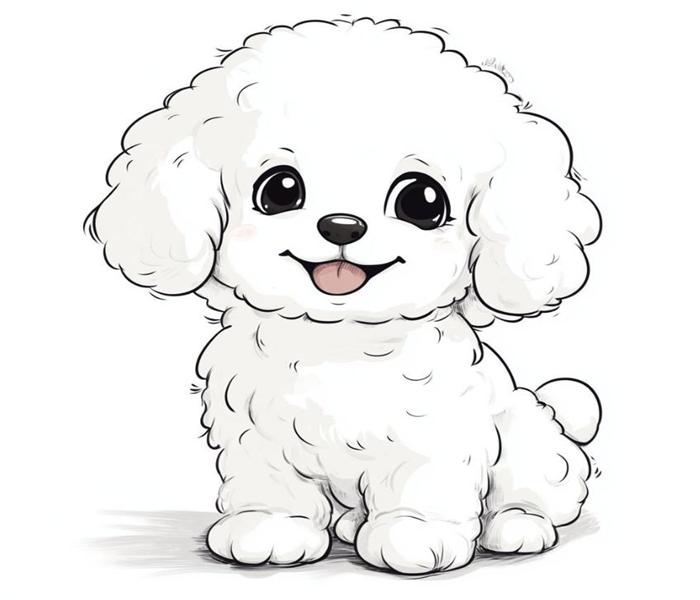Hình vẽ chó poodle cute