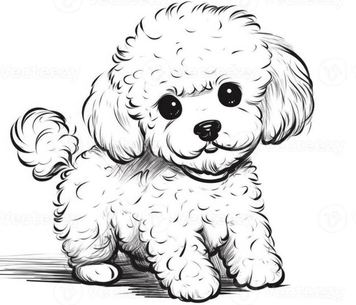 Hình vẽ chó poodle cute